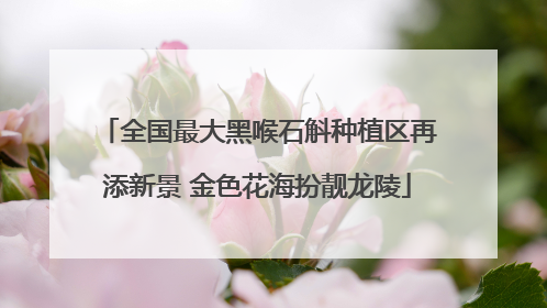全国最大黑喉石斛种植区再添新景 金色花海扮靓龙陵
