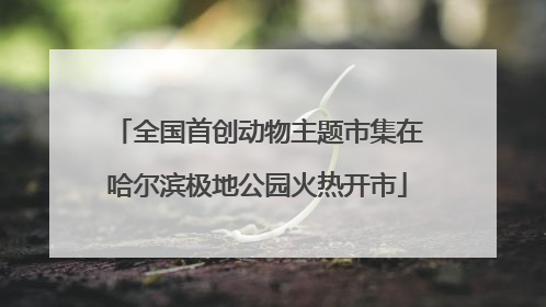 全国首创动物主题市集在哈尔滨极地公园火热开市