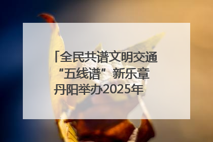 全民共谱文明交通“五线谱”新乐章 丹阳举办2025年“文明交通 同心同行”主题宣传活动