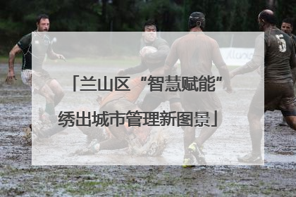 兰山区“智慧赋能”绣出城市管理新图景
