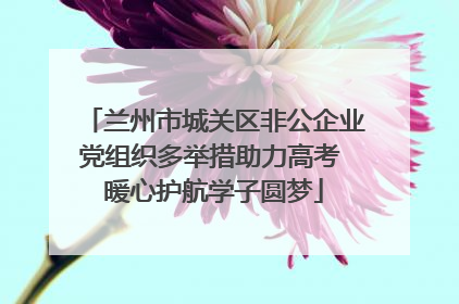 兰州市城关区非公企业党组织多举措助力高考 暖心护航学子圆梦