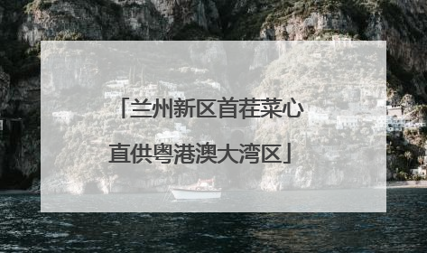 兰州新区首茬菜心直供粤港澳大湾区