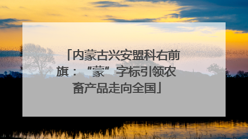 内蒙古兴安盟科右前旗：“蒙”字标引领农畜产品走向全国