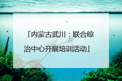 内蒙古武川：联合综治中心开展培训活动