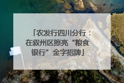 农发行四川分行：在叙州区擦亮“粮食银行”金字招牌