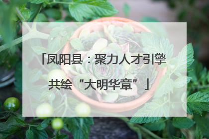 凤阳县：聚力人才引擎 共绘“大明华章”