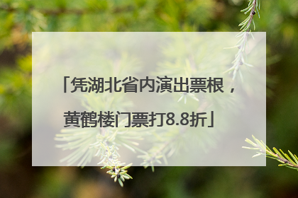 凭湖北省内演出票根，黄鹤楼门票打8.8折