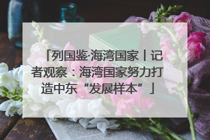 列国鉴·海湾国家丨记者观察：海湾国家努力打造中东“发展样本”