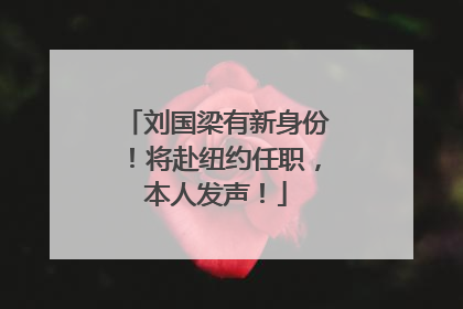 刘国梁有新身份！将赴纽约任职，本人发声！