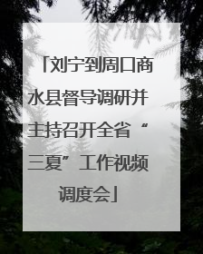 刘宁到周口商水县督导调研并主持召开全省“三夏”工作视频调度会