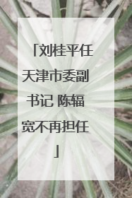 刘桂平任天津市委副书记 陈辐宽不再担任