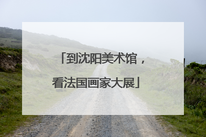 到沈阳美术馆，看法国画家大展