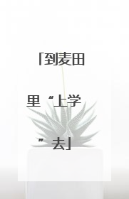 到麦田里“上学”去