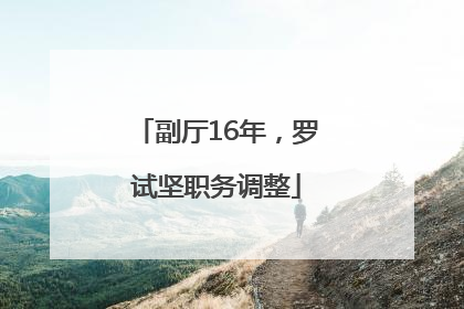 副厅16年，罗试坚职务调整