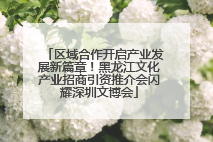 区域合作开启产业发展新篇章！黑龙江文化产业招商引资推介会闪耀深圳文博会