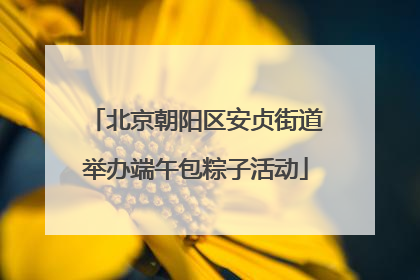 北京朝阳区安贞街道举办端午包粽子活动