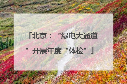 北京：“绿电大通道”开展年度“体检”