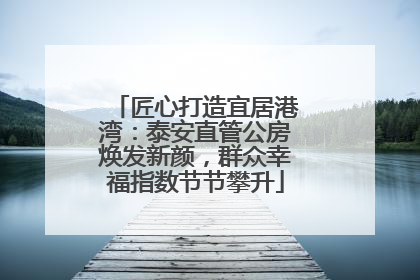 匠心打造宜居港湾：泰安直管公房焕发新颜，群众幸福指数节节攀升