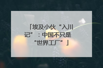 埃及小伙“入川记”：中国不只是“世界工厂”