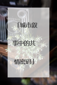城市叙事中的共情密码