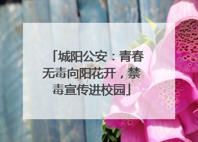 城阳公安：青春无毒向阳花开，禁毒宣传进校园