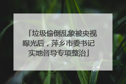 垃圾偷倒乱象被央视曝光后，萍乡市委书记实地督导专项整治