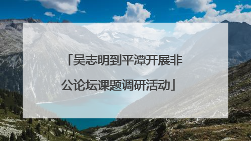 吴志明到平潭开展非公论坛课题调研活动