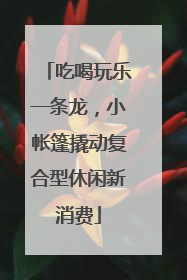 吃喝玩乐一条龙，小帐篷撬动复合型休闲新消费