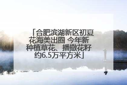 合肥滨湖新区初夏花海美出圈 今年新种植草花、播撒花籽约6.5万平方米