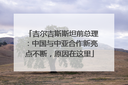 吉尔吉斯斯坦前总理：中国与中亚合作新亮点不断，原因在这里