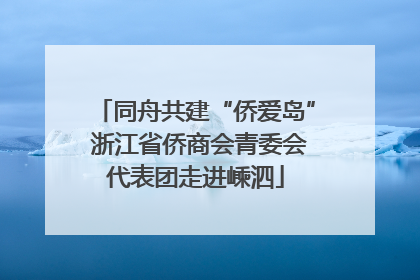 同舟共建“侨爱岛” 浙江省侨商会青委会代表团走进嵊泗