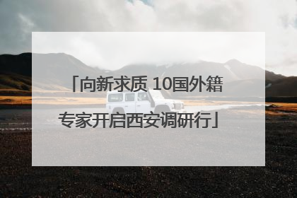 向新求质 10国外籍专家开启西安调研行