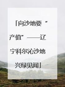 向沙地要“产值”——辽宁科尔沁沙地兴绿见闻