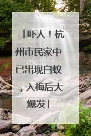 吓人！杭州市民家中已出现白蚁，入梅后大爆发