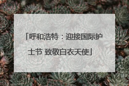 呼和浩特：迎接国际护士节 致敬白衣天使