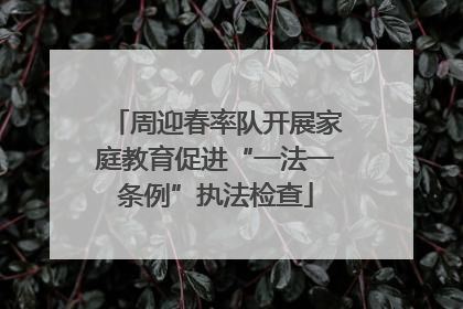 周迎春率队开展家庭教育促进“一法一条例”执法检查