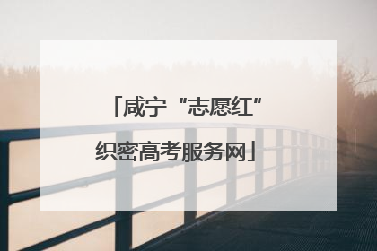咸宁“志愿红”织密高考服务网