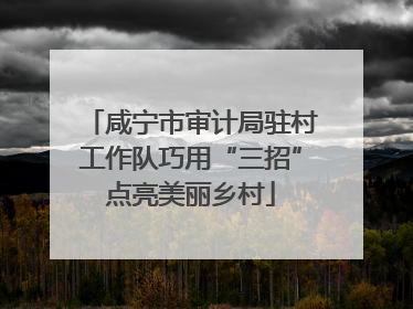 咸宁市审计局驻村工作队巧用“三招”点亮美丽乡村