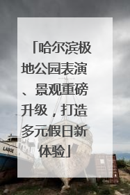哈尔滨极地公园表演、景观重磅升级，打造多元假日新体验