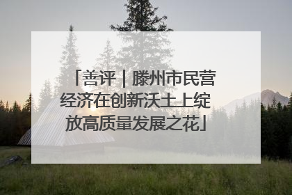 善评｜滕州市民营经济在创新沃土上绽放高质量发展之花