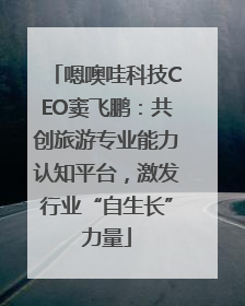 嗯噢哇科技CEO窦飞鹏：共创旅游专业能力认知平台，激发行业“自生长”力量