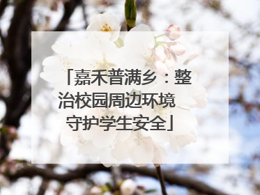 嘉禾普满乡：整治校园周边环境 守护学生安全