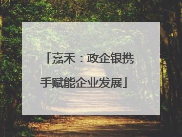 嘉禾：政企银携手赋能企业发展