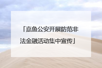 嘉鱼公安开展防范非法金融活动集中宣传