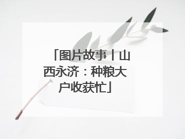 图片故事丨山西永济：种粮大户收获忙
