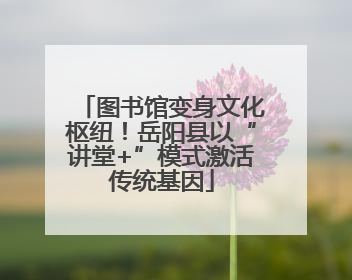 图书馆变身文化枢纽！岳阳县以“讲堂+”模式激活传统基因
