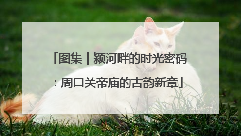 图集｜颍河畔的时光密码：周口关帝庙的古韵新章