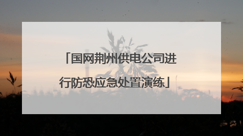 国网荆州供电公司进行防恐应急处置演练