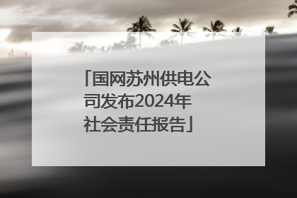 国网苏州供电公司发布2024年社会责任报告