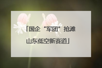 国企“军团”抢滩山东低空新赛道